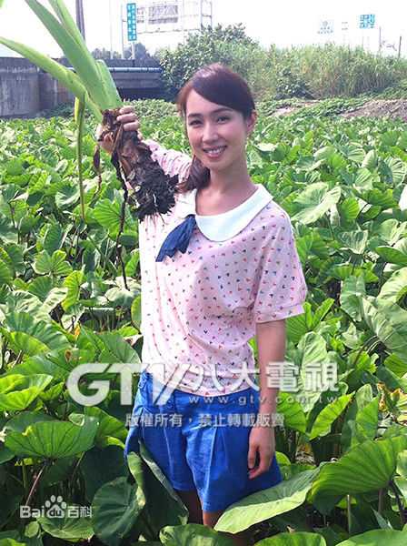 最全黄瀞怡(Albee Huang)在小薰节目主持《美眉向前行》《旅行应援团》中的相册