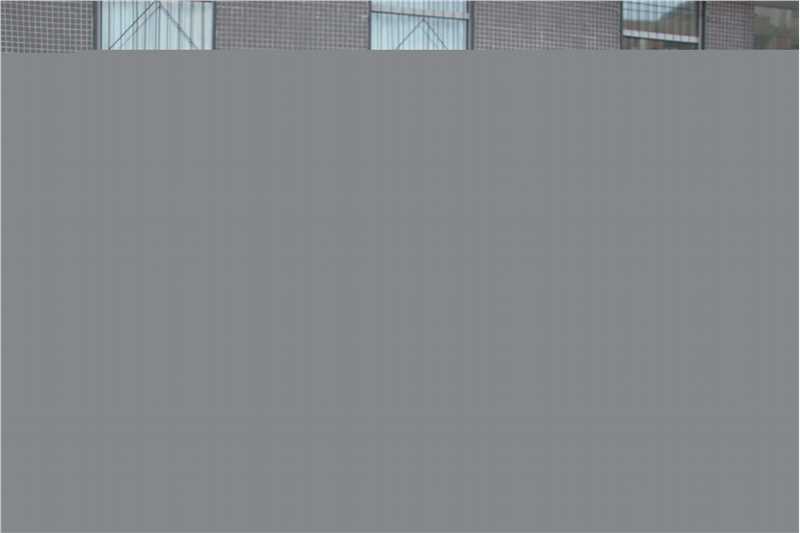 杨韬(Yang Tao)导演生活照