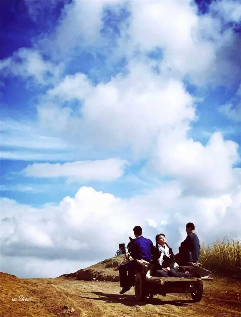 高力强作品图册