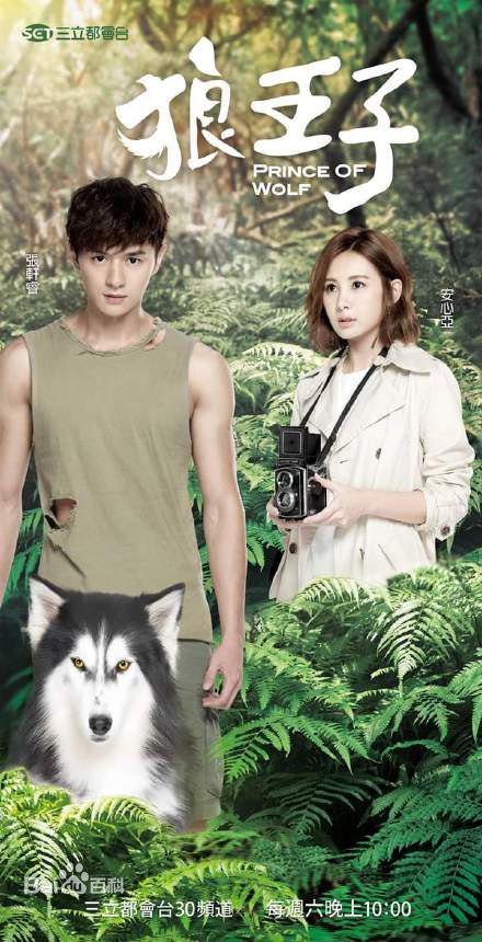 精选张轩睿(Derek Chang)