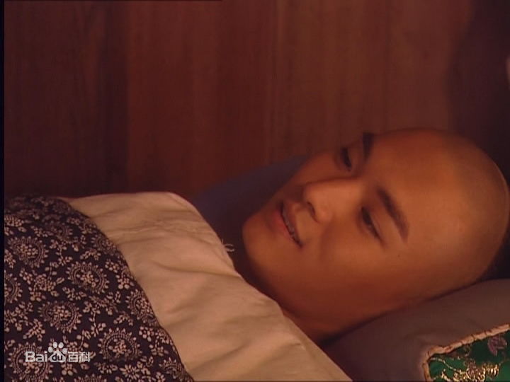 赵鸿飞在2004年《皇太子秘史》饰演雍正中的