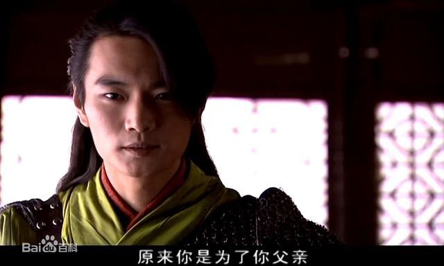 高清赵鸿飞在2008年《浣花洗剑录》饰演木郎神君中的图册