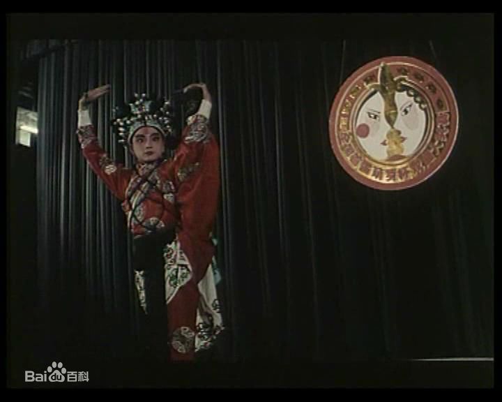 最新赵鸿飞性感图片