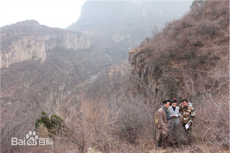 许铂岑精选剧照