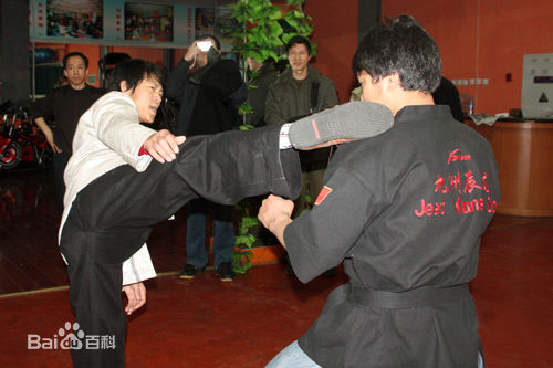 高清石天龙性感图片