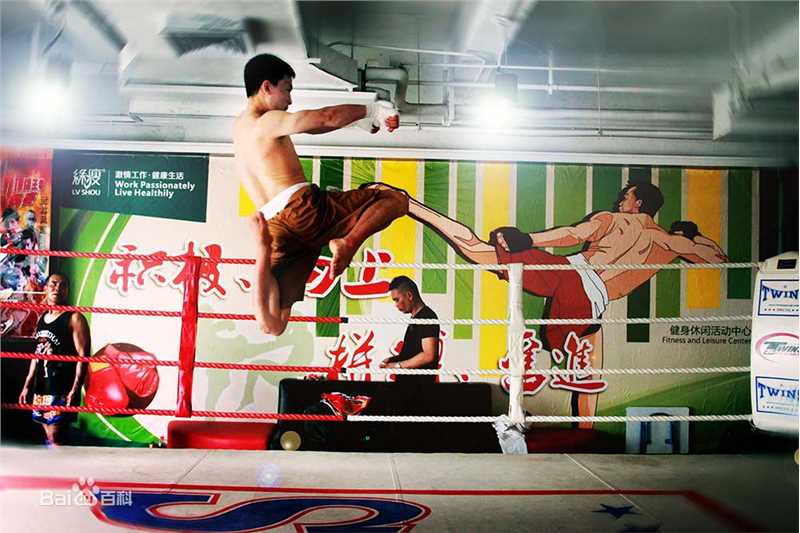 黄海刚(chinadragon)动作照图片图集