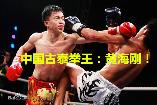 黄海刚(chinadragon)名人合影生活照相册