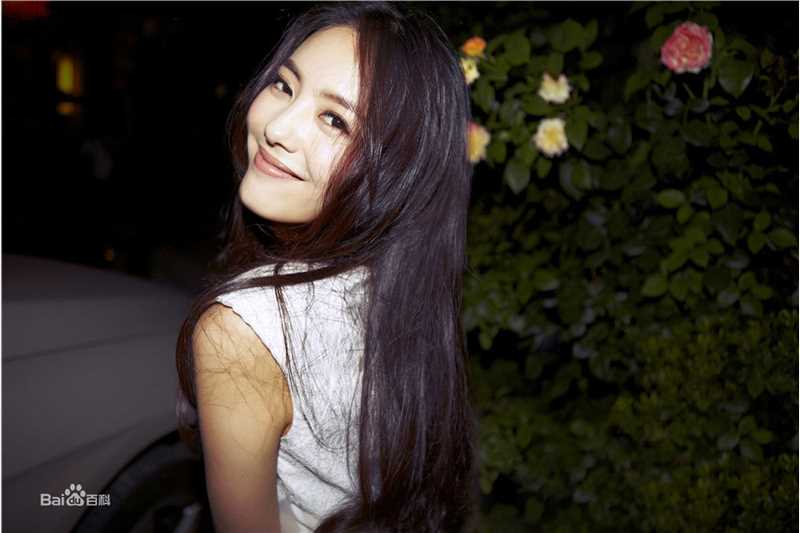 高清蔡文静图片