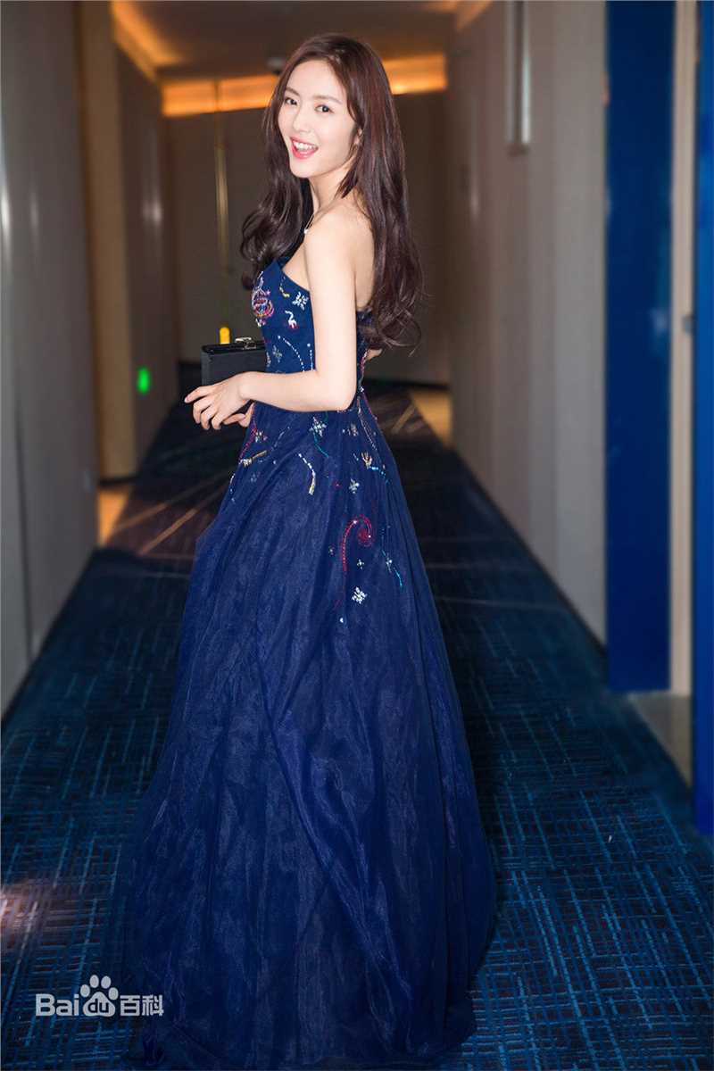 蔡文静出席活动图片图集