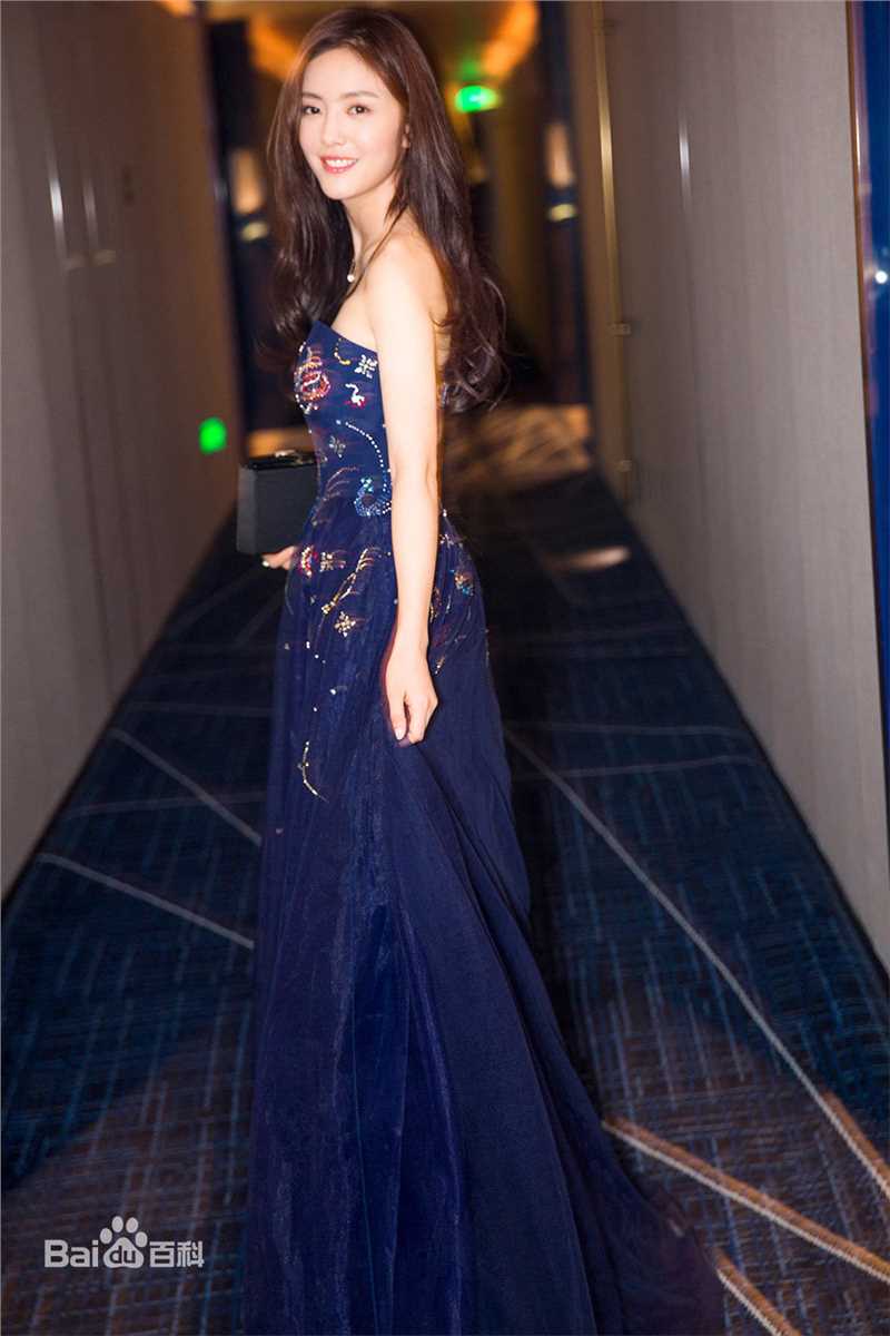 蔡文静出席活动图片图集