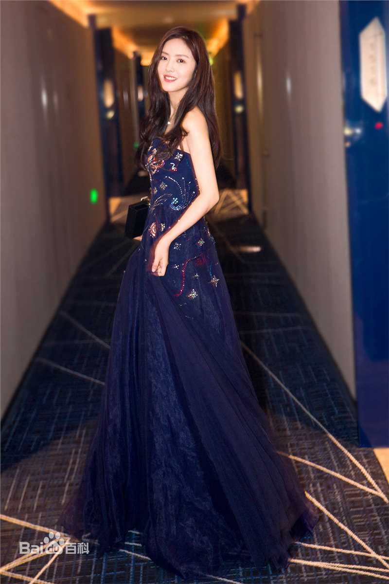 蔡文静出席活动图片图集