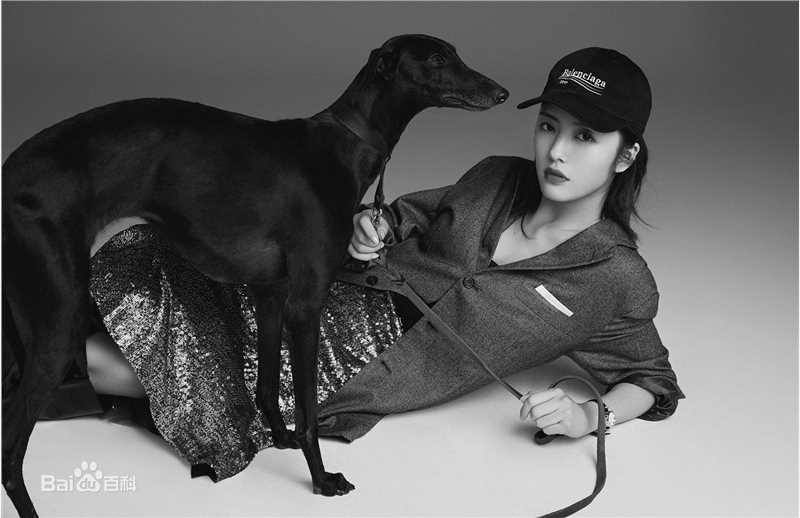 蔡文静最优质个人相册