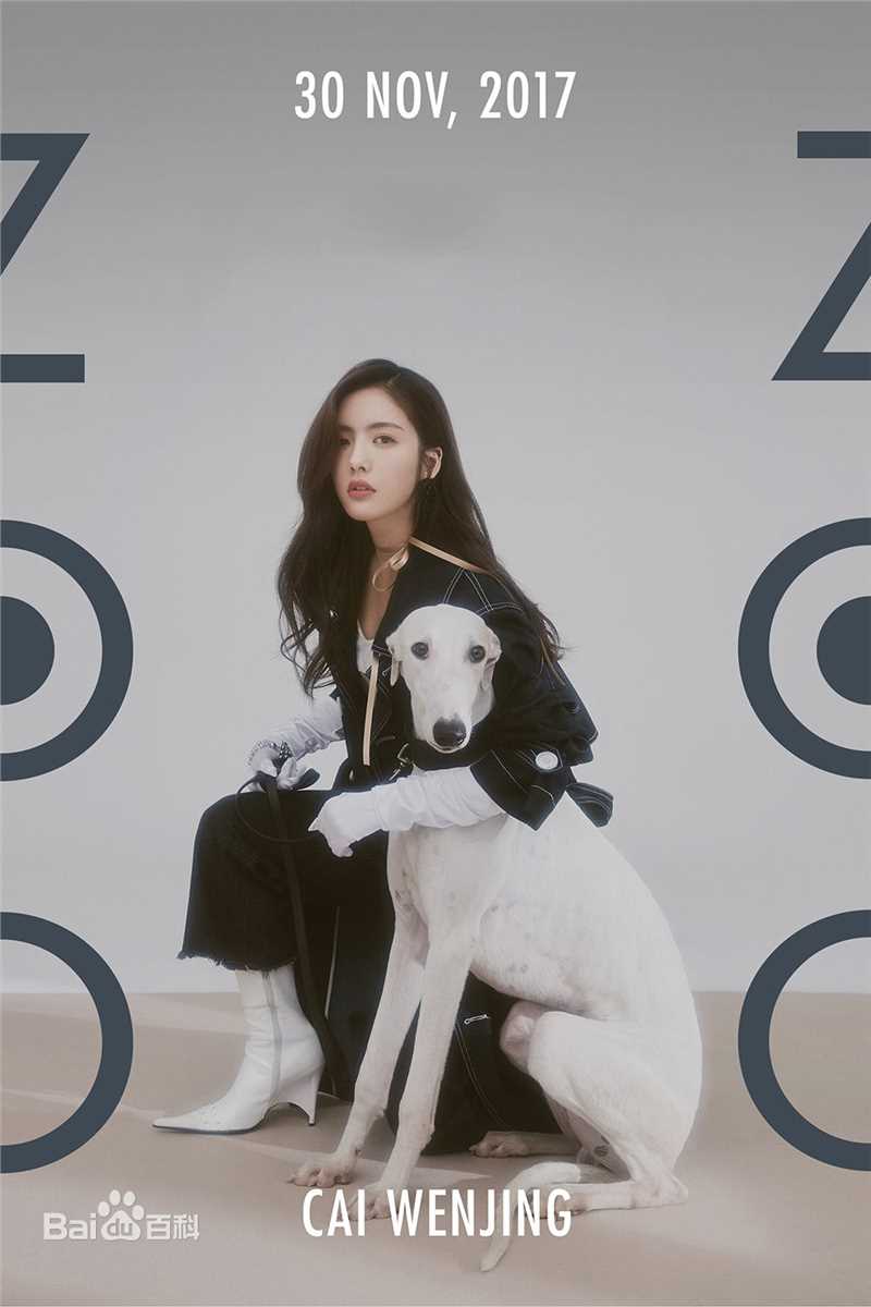 蔡文静最优质个人相册