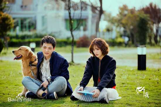 精选蔡文静在《柒个我》饰演白欣欣中的图册