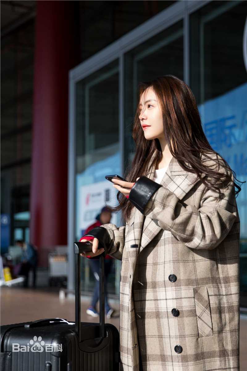 蔡文静机场街拍素颜照壁纸