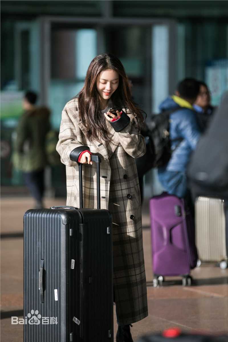 蔡文静机场街拍素颜照壁纸