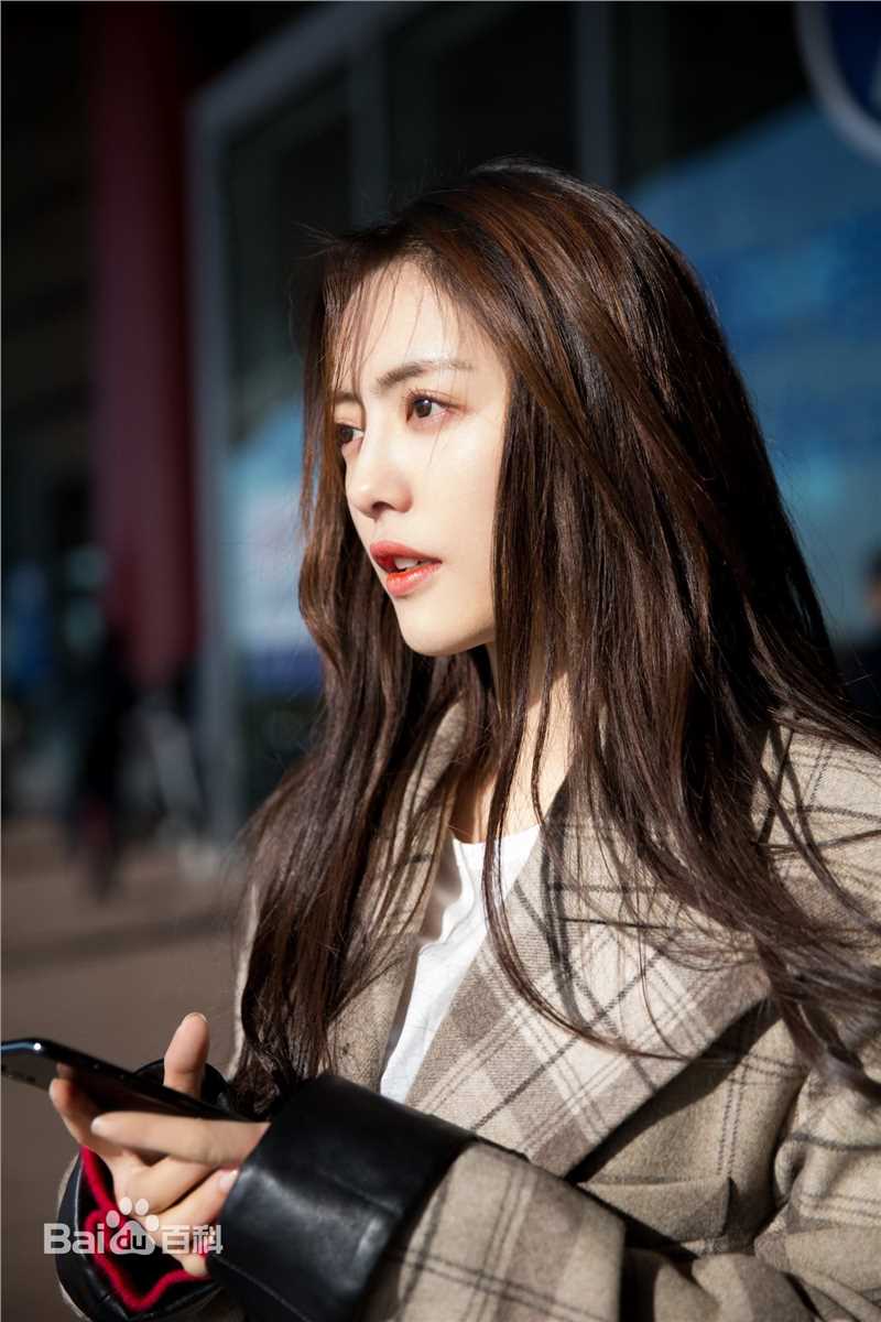 蔡文静机场街拍素颜照壁纸