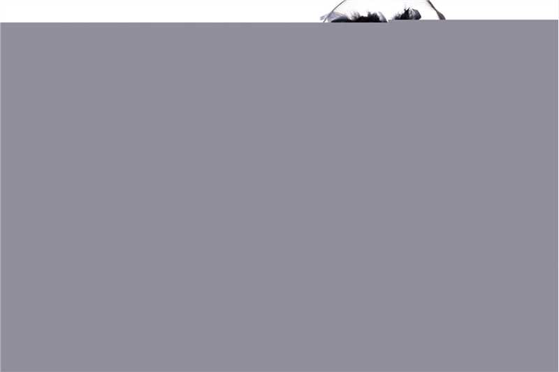 王梓诺(Dee)宣传造型1素颜照相册