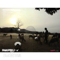 精选堂本刚(Tsuyoshi Domoto)