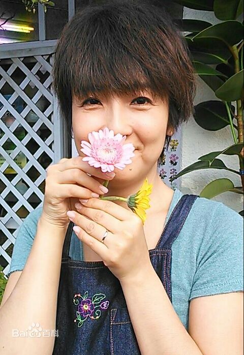 最全藤田朋子(TOMOKO HUJITA)壁纸
