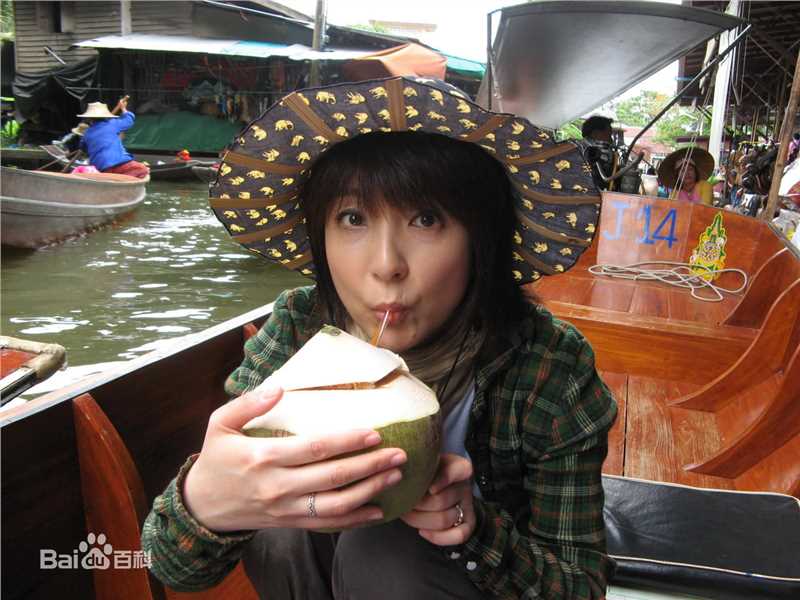 最全藤田朋子(TOMOKO HUJITA)壁纸