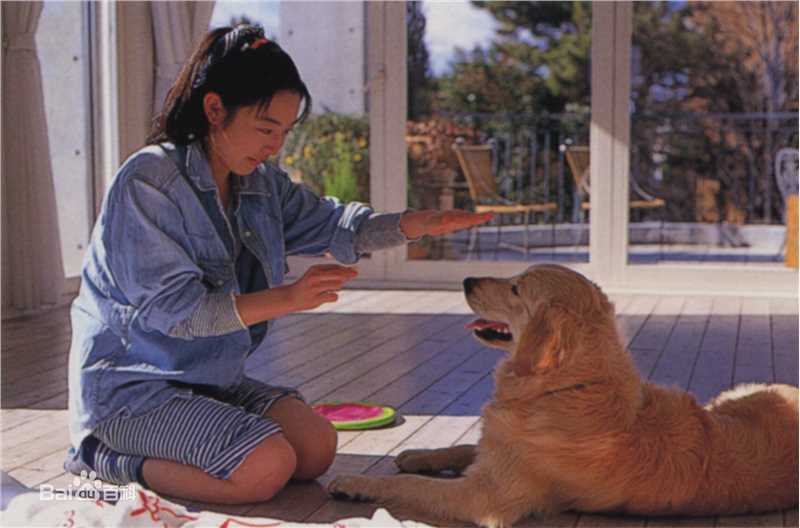 酒井美纪(さかい みき、Miki Sakai)高清图集