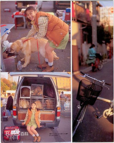 高清酒井美纪(さかい みき、Miki Sakai)精彩图册