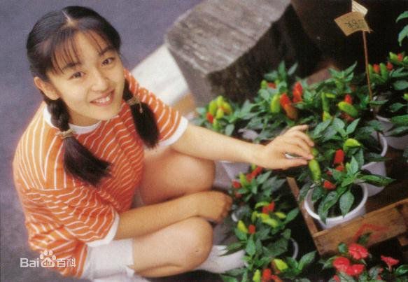 高清酒井美纪(さかい みき、Miki Sakai)精彩图册