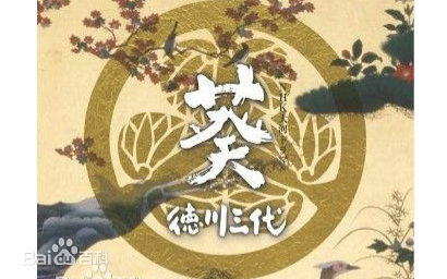 高清酒井美纪(さかい みき、Miki Sakai)图片