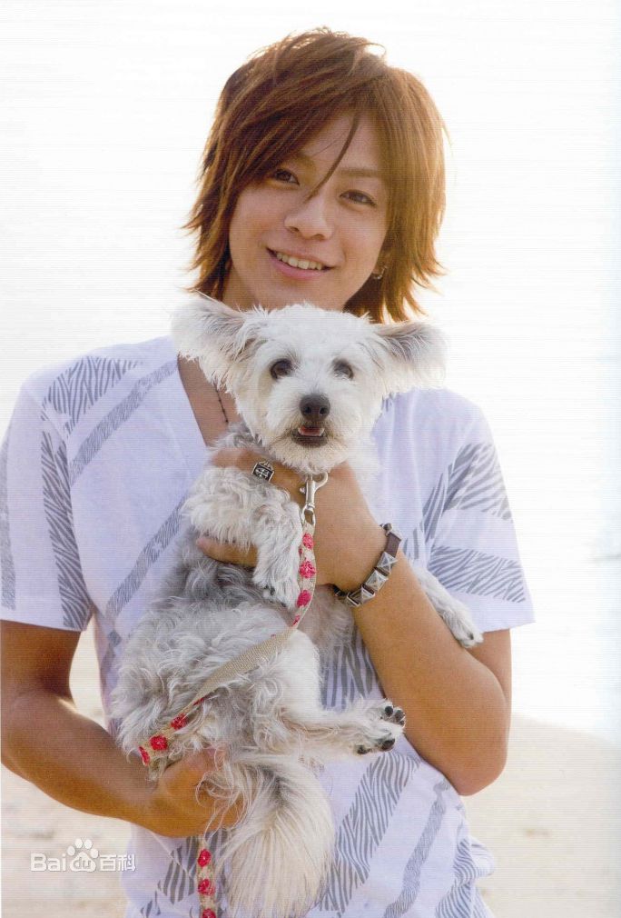 最新三浦翔平(みうらしょうへい)壁纸