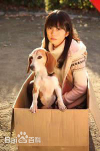 志田未来(Shida Mirai)前后照片