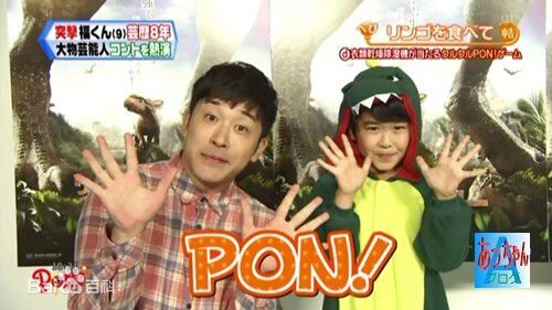 铃木福(すずき ふく(Fuku Suzuki))节目、其他活动性感图片图集