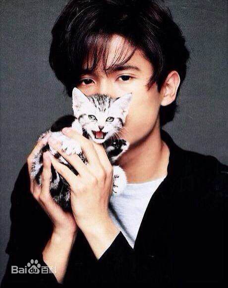 稻垣吾郎(Inagaki Goro)资料图片图册