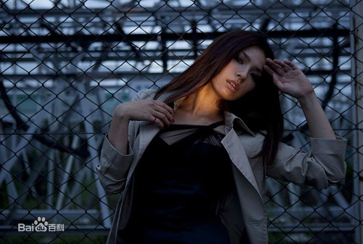 精选野波麻帆(MAHO NONAMI)精彩图册