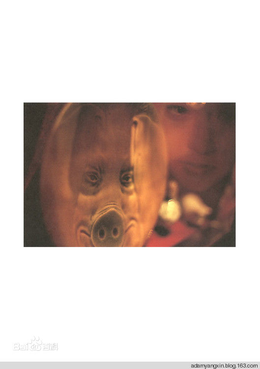 高清铃木保娜美(Honami Suzuki，すずき ほなみ)精彩图册