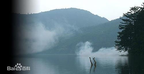 市川昆(KonIchikawa)导演的《犬神家族》精选剧照