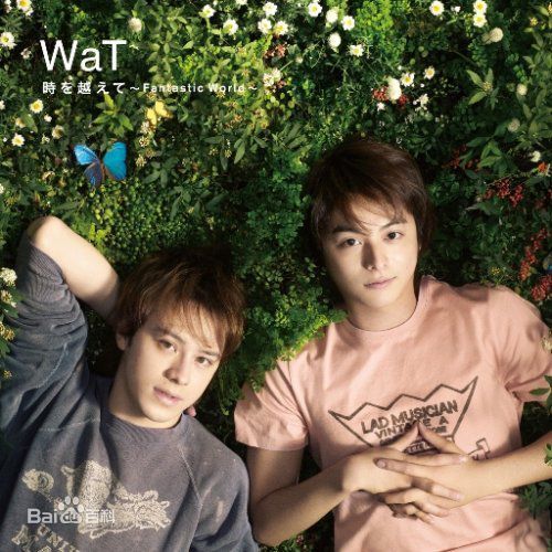 最新小池澈平(こいけてっぺい、Koike Teppei)壁纸