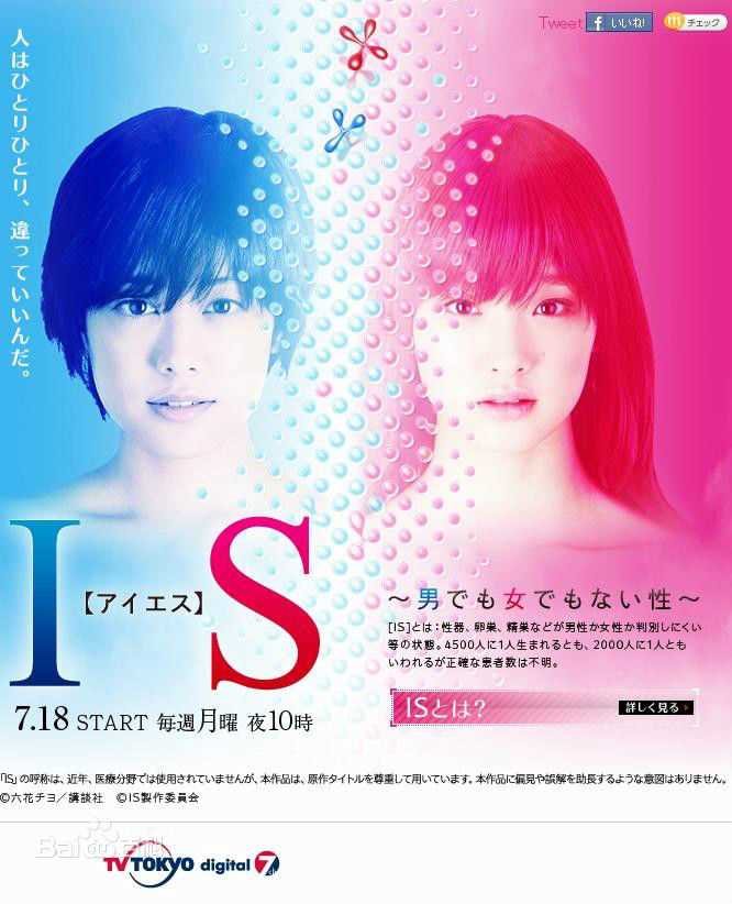 最全福田沙纪(ふくだ さき（Fukuda Saki）)壁纸