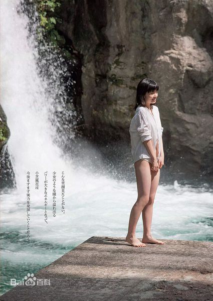 小芝风花(KoshibaFuka、小芝風花)图片生活照