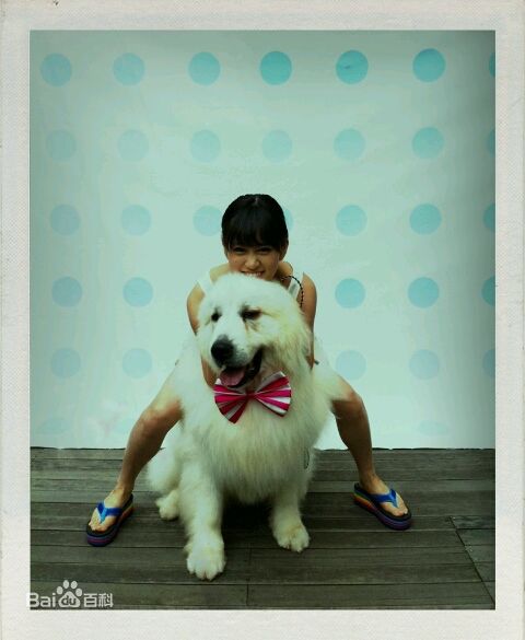 最新前田敦子(まえだ あつこ(Atsuko Maeda)、あっちゃん（昵称）)精彩图册