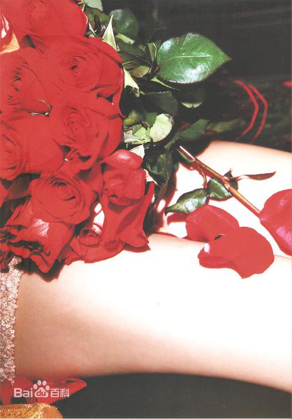 前田敦子(まえだ あつこ(Atsuko Maeda)、あっちゃん（昵称）)精彩图册