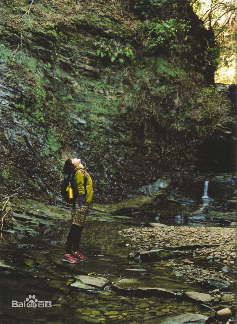 上野树里(Juri Ueno)最全壁纸