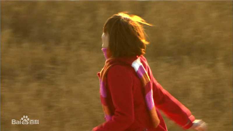 上野树里(Juri Ueno)交响情人梦图册