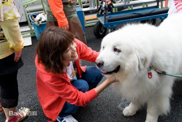 精选上野树里(Juri Ueno)在《咕咕是一只猫》中的图册