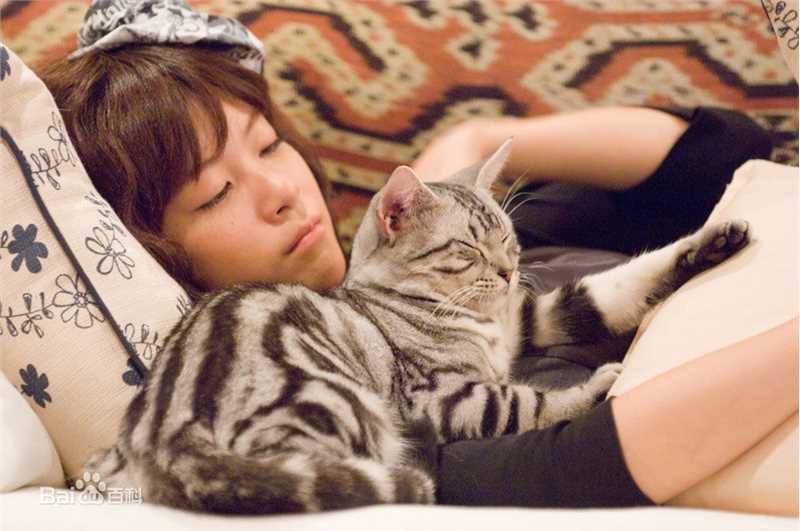 精选上野树里(Juri Ueno)在《咕咕是一只猫》中的图册