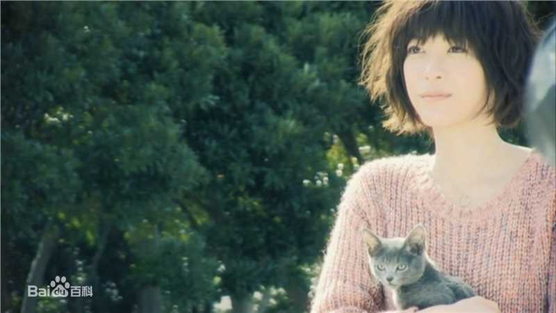 最全上野树里(Juri Ueno)在《向阳处的她》中的壁纸