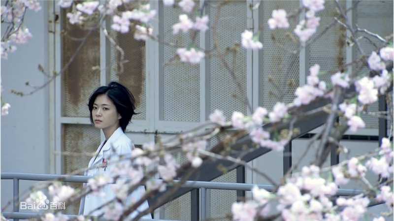 最全上野树里(Juri Ueno)在《爱丽丝之棘》中的壁纸