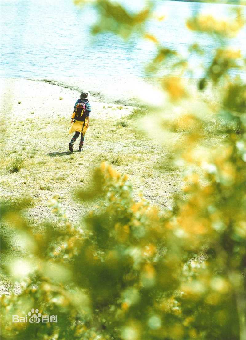 精选上野树里(Juri Ueno)精彩图册