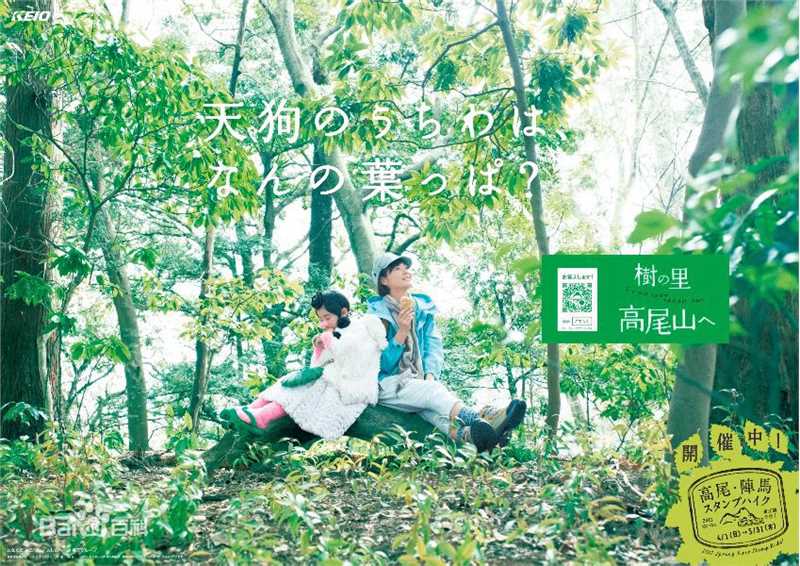 精选上野树里(Juri Ueno)精彩图册