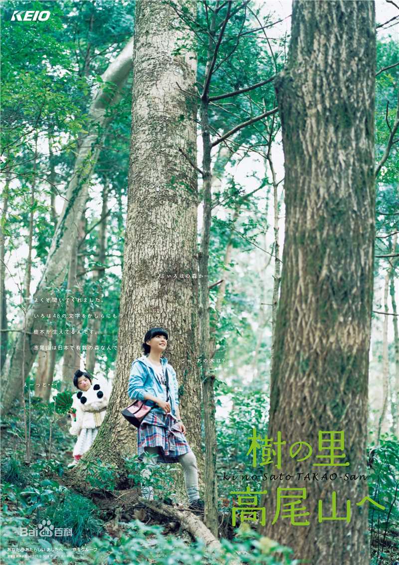 精选上野树里(Juri Ueno)精彩图册